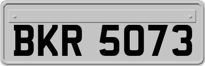 BKR5073