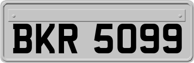 BKR5099