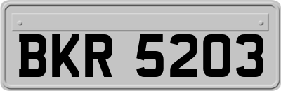 BKR5203