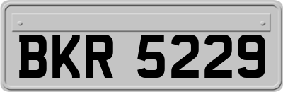 BKR5229