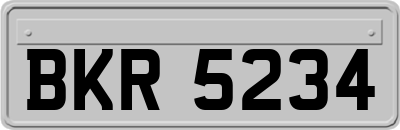 BKR5234
