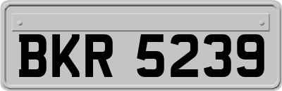 BKR5239