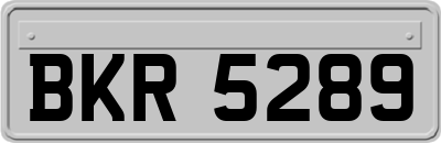 BKR5289
