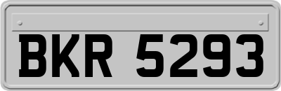 BKR5293
