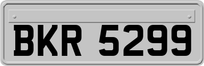 BKR5299