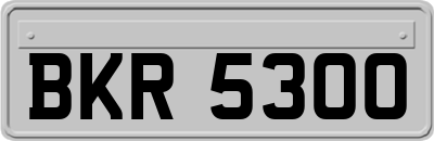 BKR5300