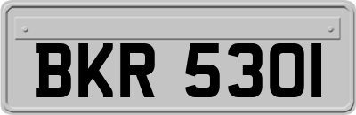 BKR5301