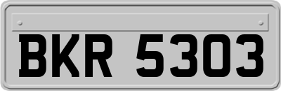 BKR5303