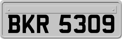BKR5309