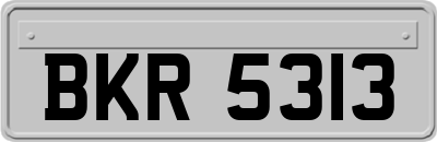 BKR5313