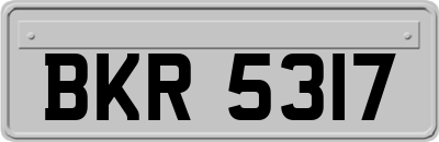 BKR5317