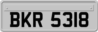 BKR5318
