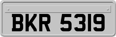 BKR5319