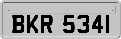 BKR5341
