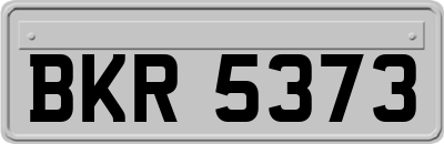 BKR5373