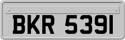 BKR5391