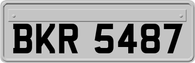 BKR5487