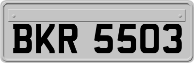BKR5503