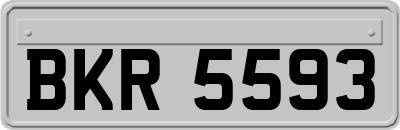 BKR5593