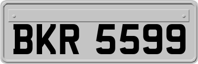 BKR5599