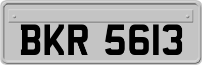 BKR5613