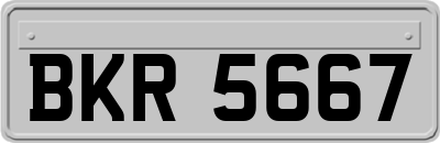 BKR5667