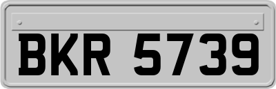 BKR5739