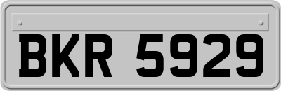 BKR5929
