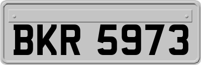 BKR5973