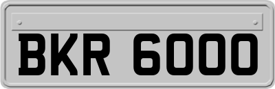 BKR6000