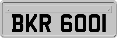 BKR6001