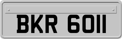 BKR6011