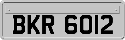 BKR6012
