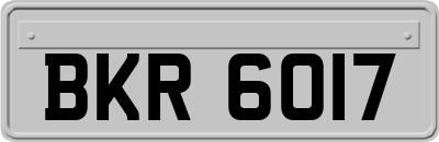 BKR6017