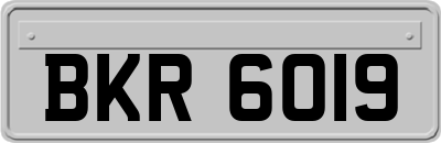 BKR6019