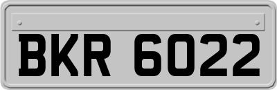 BKR6022