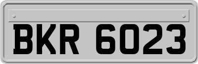BKR6023