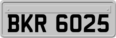 BKR6025