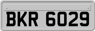BKR6029