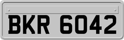 BKR6042