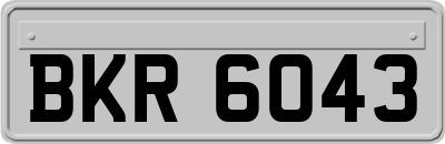 BKR6043