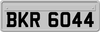 BKR6044
