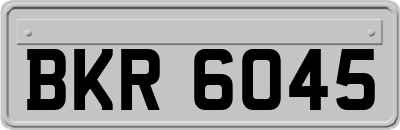 BKR6045