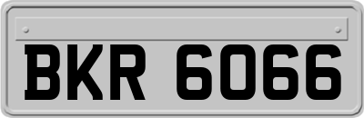 BKR6066