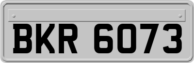 BKR6073