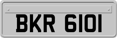 BKR6101