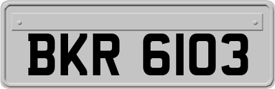 BKR6103