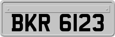 BKR6123