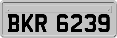 BKR6239