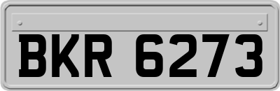 BKR6273